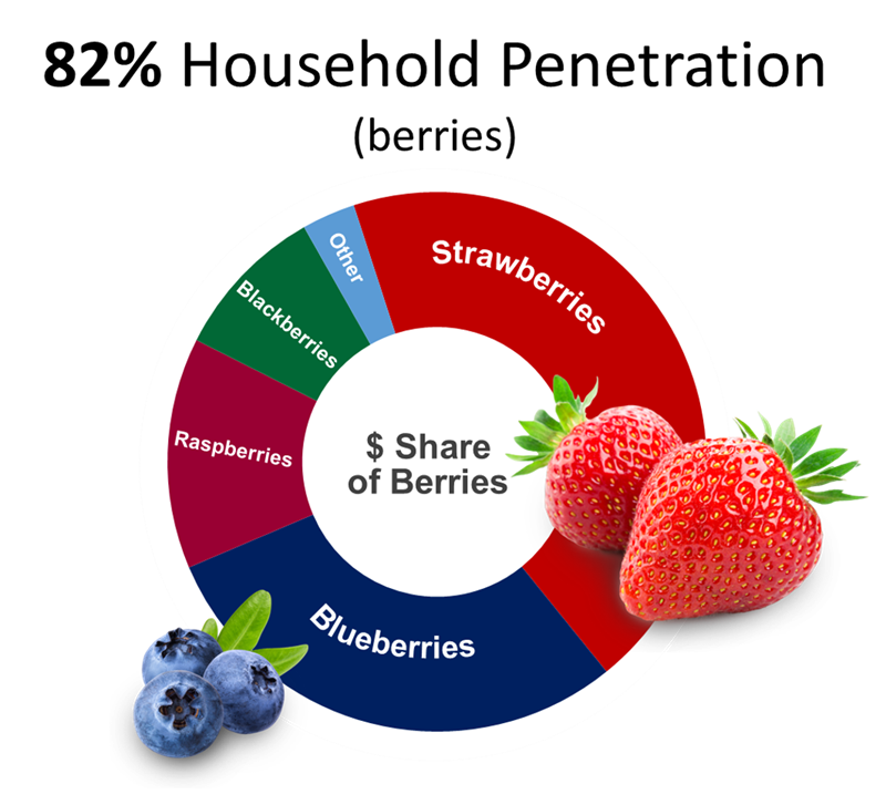 Pie chart showing that 82% of household penetration is berries.