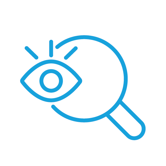 Fase 1 Immagine: Scoperta