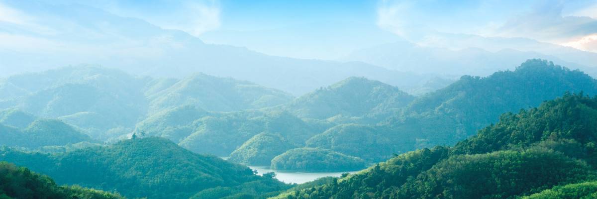 Global Newsroom - C.H. Robinson delivers new sustainability solution ...